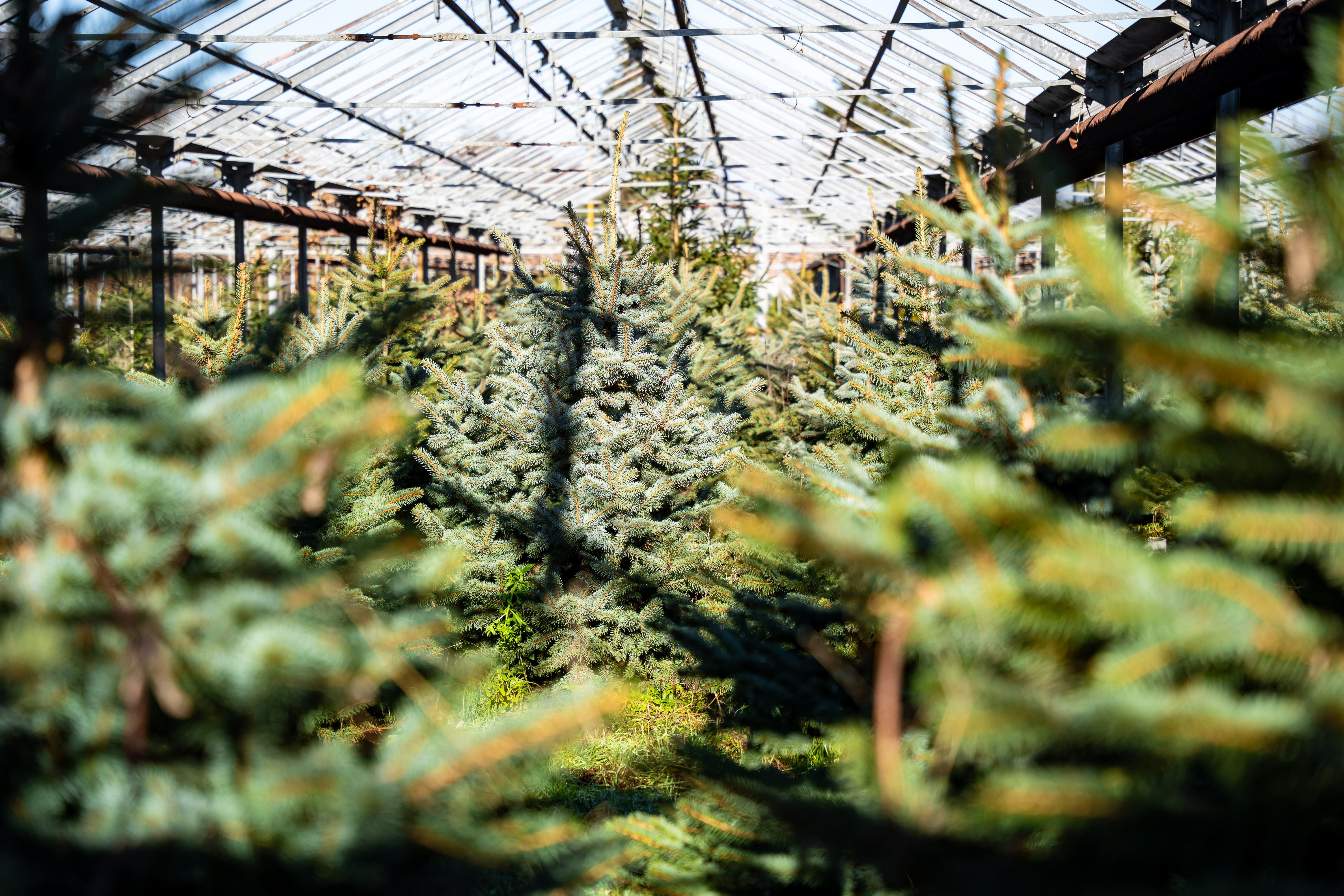 Kontrolna cinnost - Kompostaren mesta Kosice-38